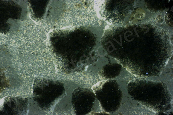 Microsope image of course particles of volcanic ash from , Iceland